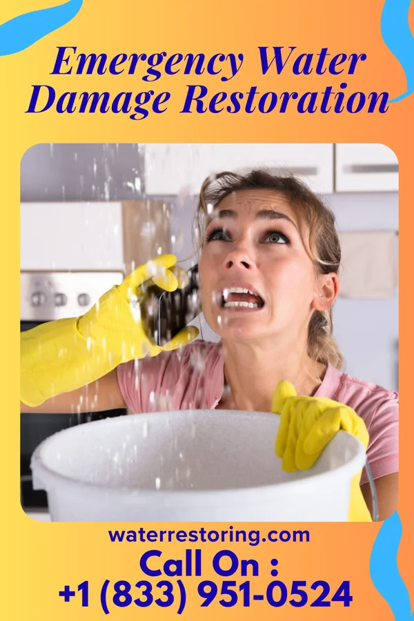 Emergency Water Damage Restoration in Detroit Lakes, MN