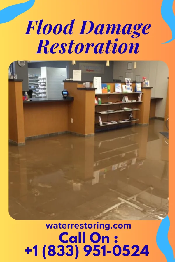 Flood Damage Restoration in Detroit Lakes, MN