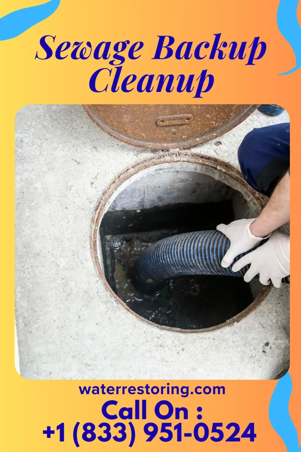 Sewage Backup Cleanup in Detroit Lakes, MN
