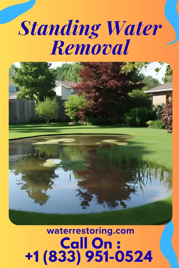 Standing Water Removal in Detroit Lakes, MN